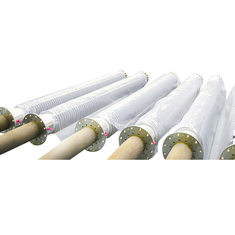 Roisín le haghaidh chásáil